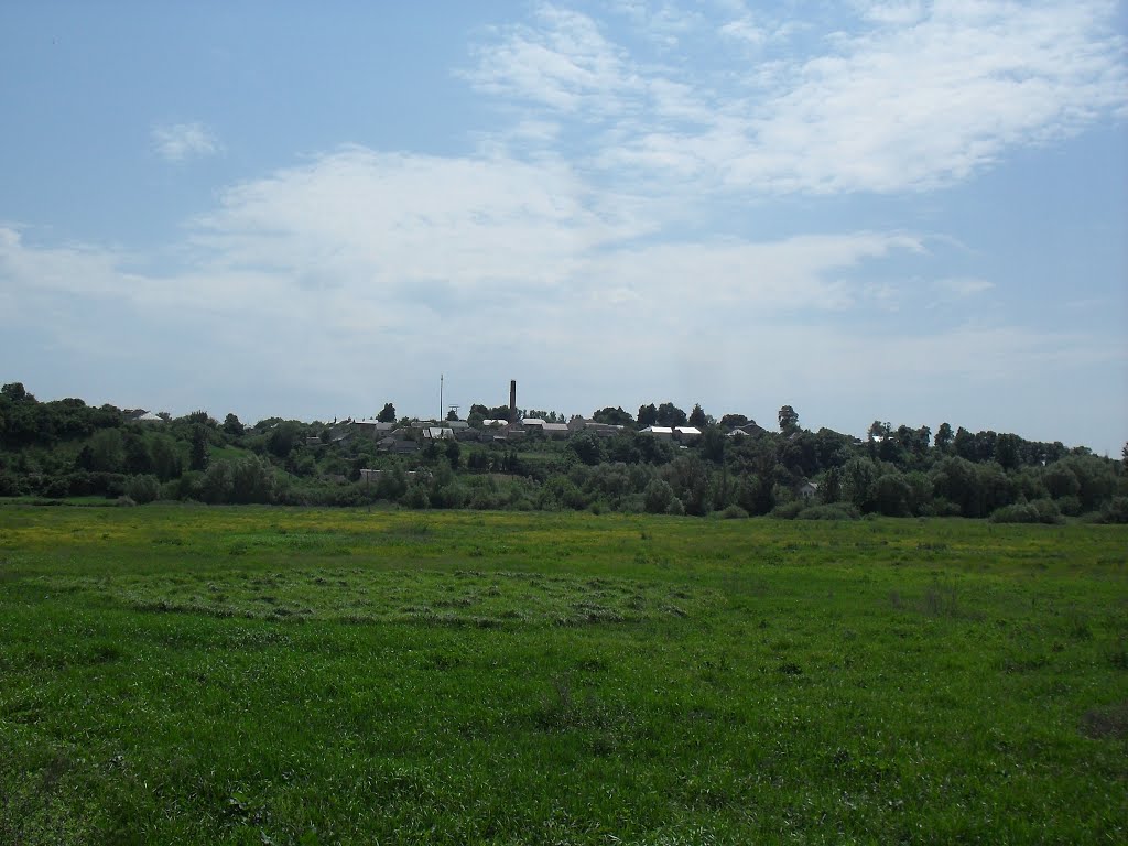 Великі Бірки