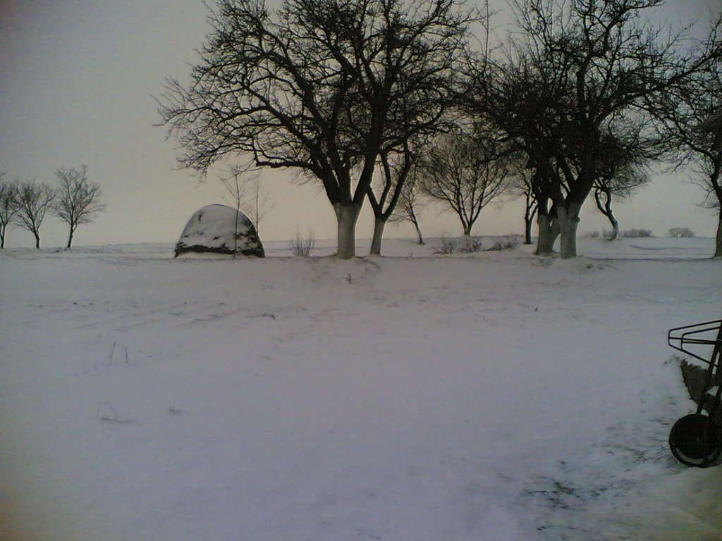 Романове Село / Romanove Village