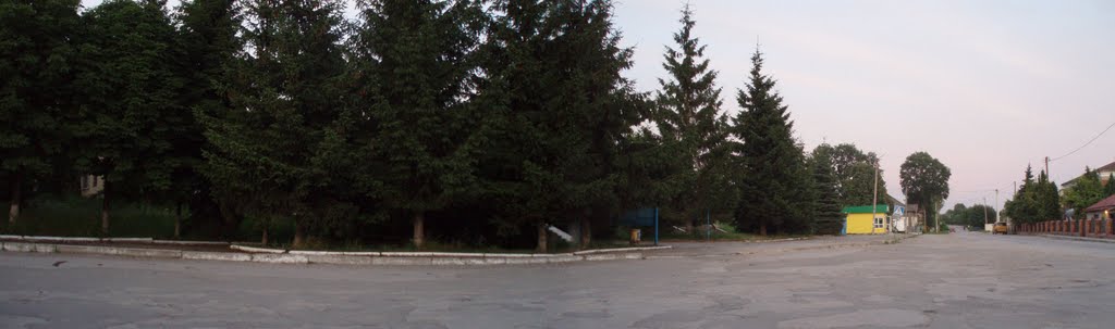 В.Бірки (центр)