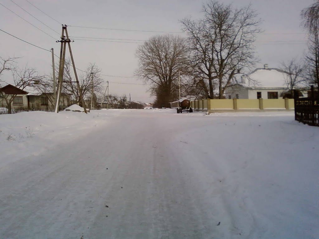 На початку вул.Лесі Українки (зліва від фабрики), 2010