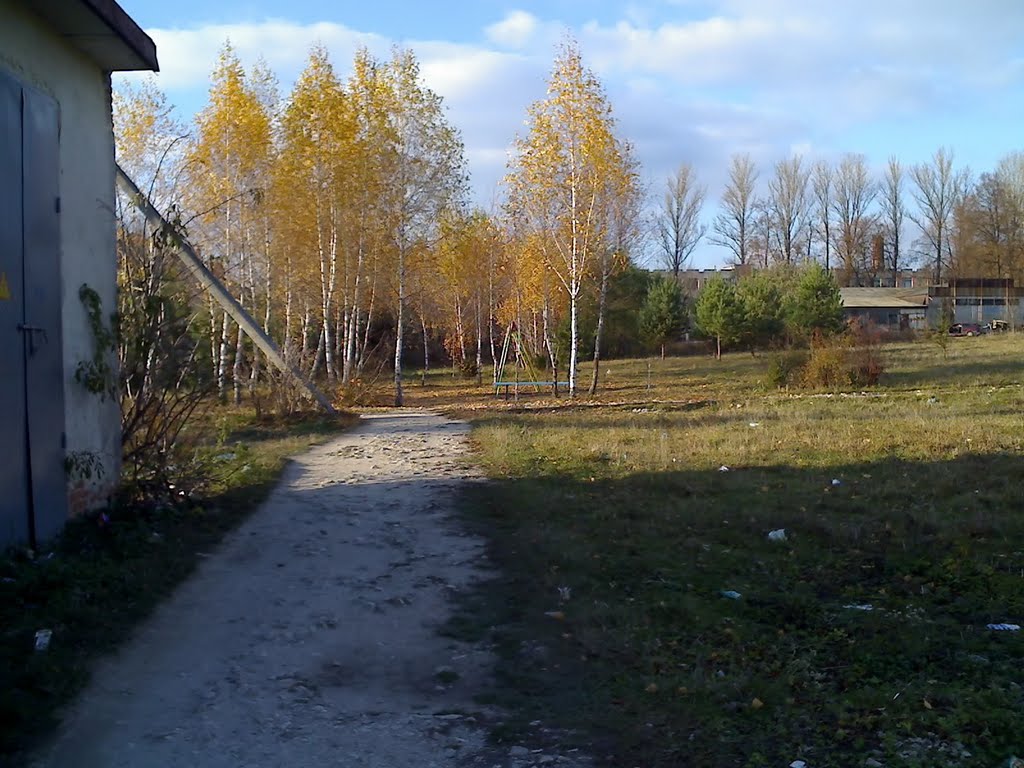 Стежка в "парку" (листопад, 2009)