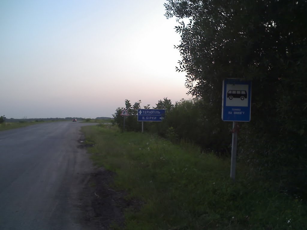 Показник на Тернопіль і Великі Бірки, обїздна (2011)