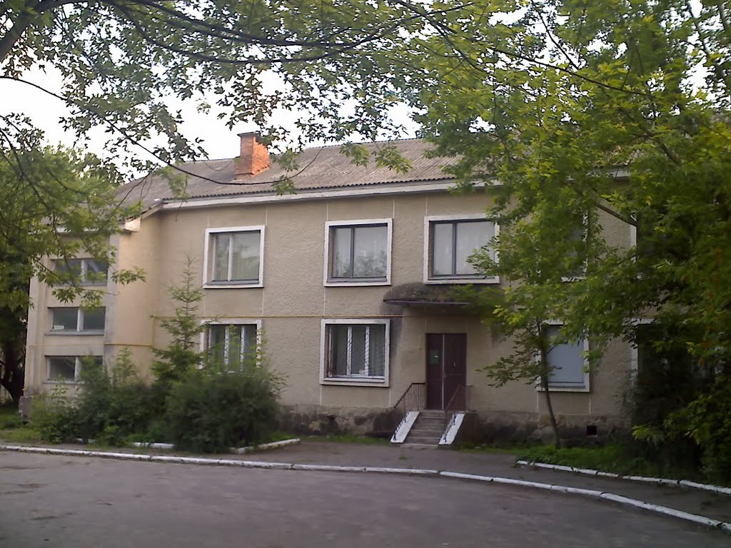 Сільрада, вид з парку, Великі Бірки (літо, 2011)