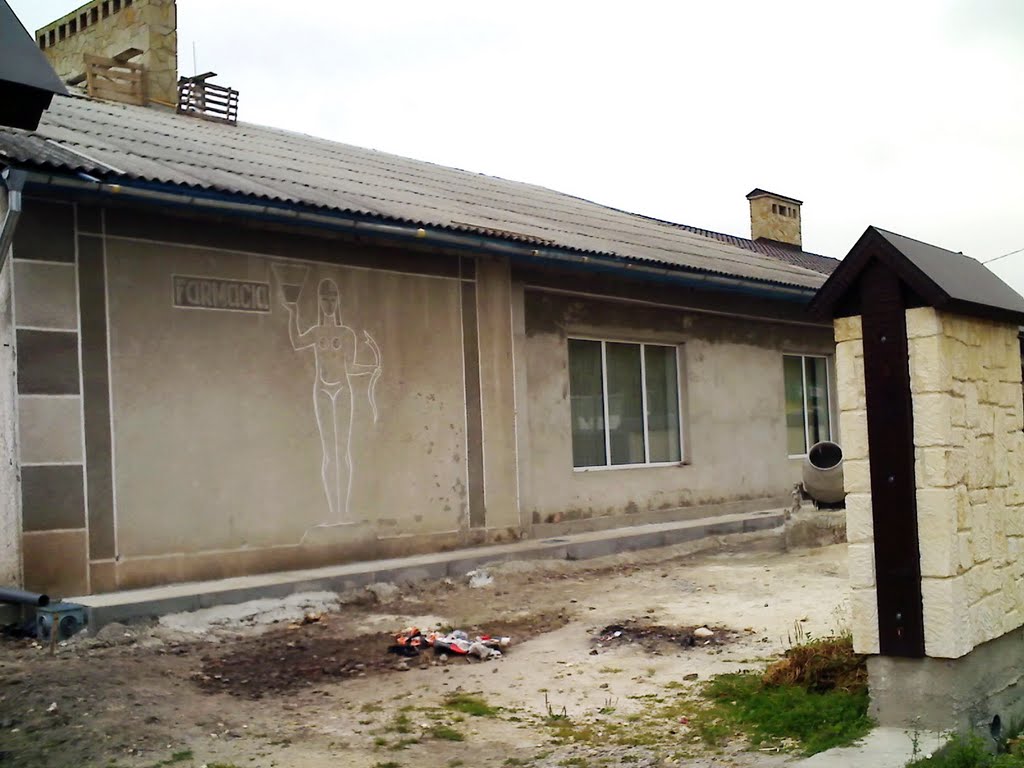 Великі Бірки, Farmacia, літо 2011