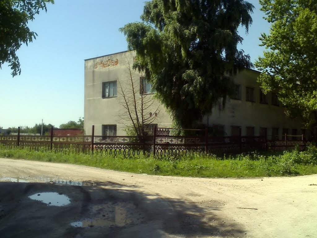 Фабрика (на розі), Великі Бірки, 2011