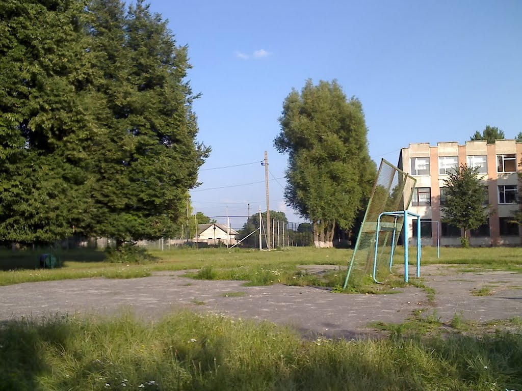 Школа, футбольні ворота, Великі Бірки, 2011