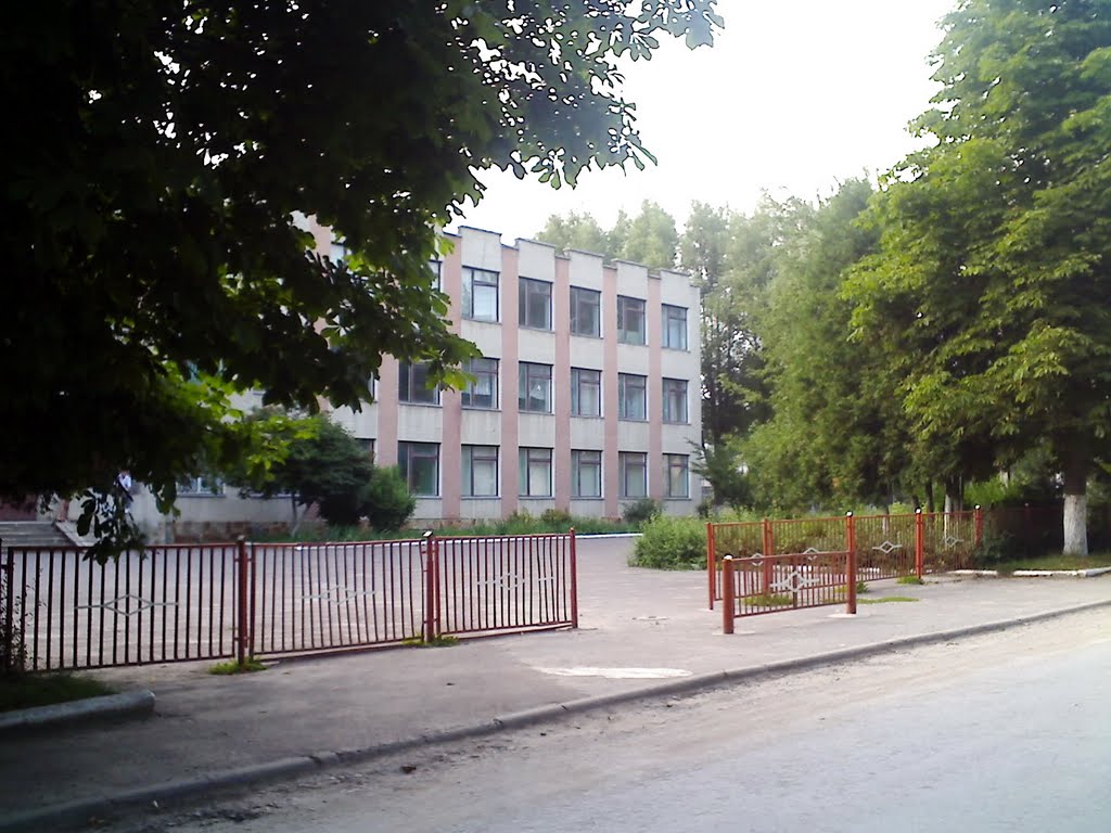 Школа, Великі Бірки, 2011