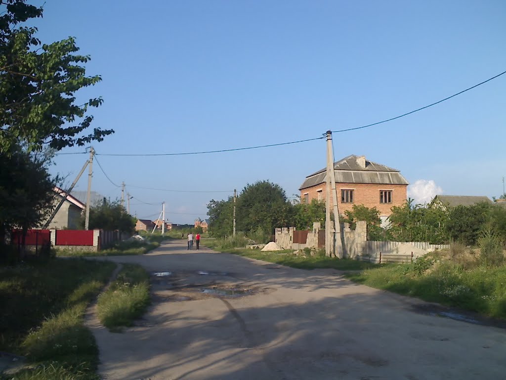 вул. Лесі Українки, в поля, Великі Бірки, 2011