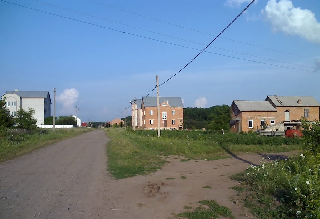 вул. Лесі Українки, поворот, Великі Бірки, 2011