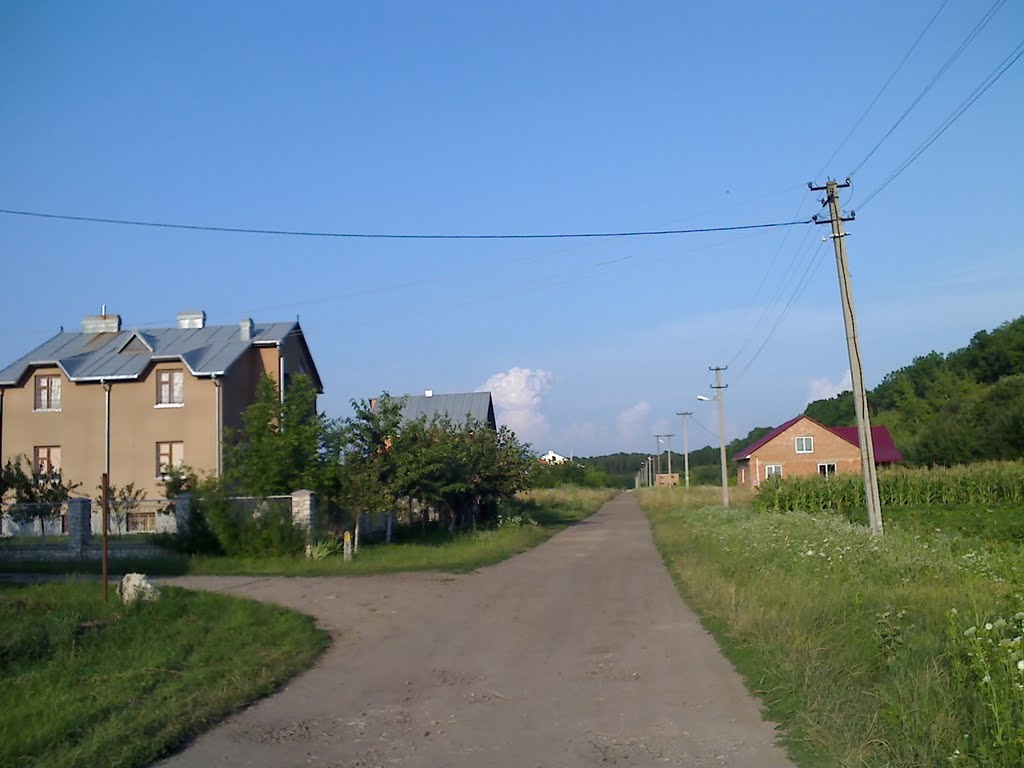 вул.Лесі Українки, поворот, Великі Бірки