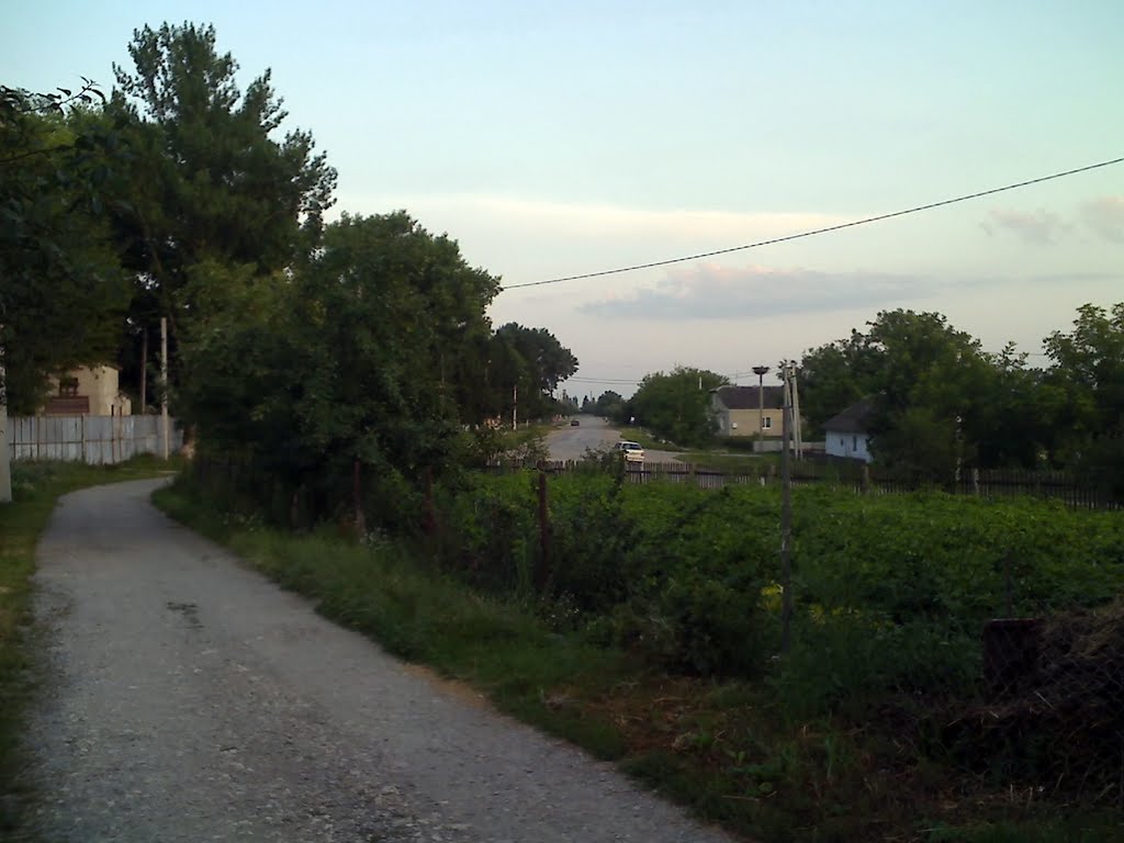 На вул.Грушевського в "кінець", Великі Бірки, 2011