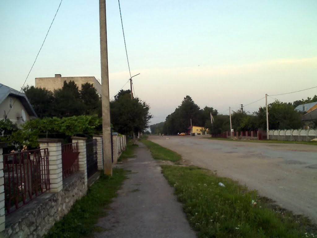 вул.Грушевського, в "кінці", Великі Бірки