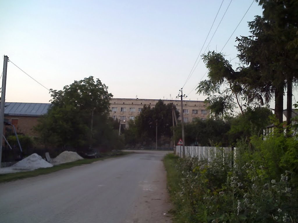 Вид на гуртожиток на вул.Грушевського, Великі Бірки
