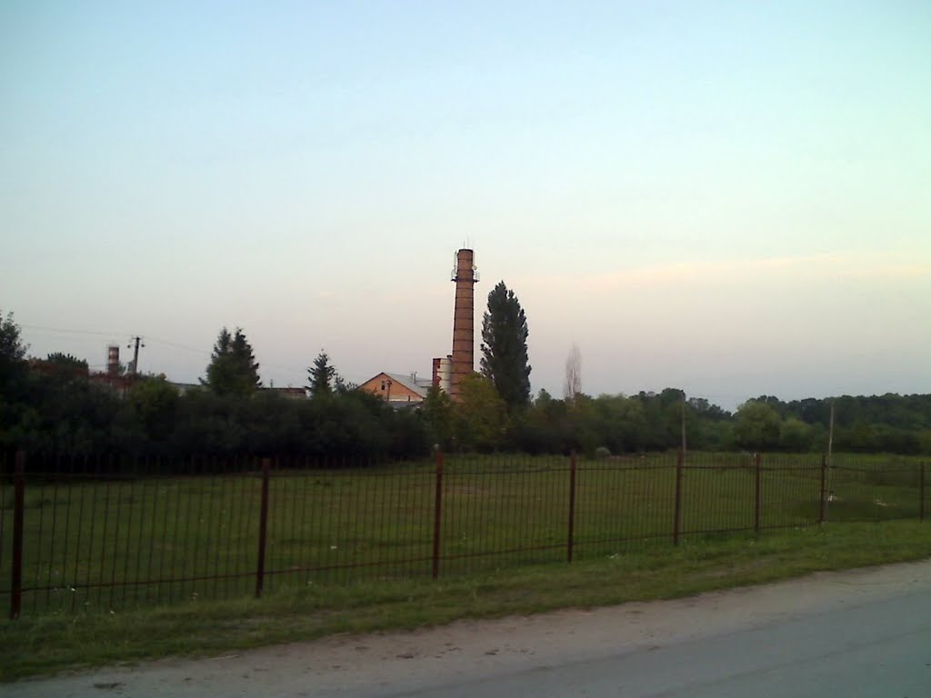 Башня, Великі Бірки