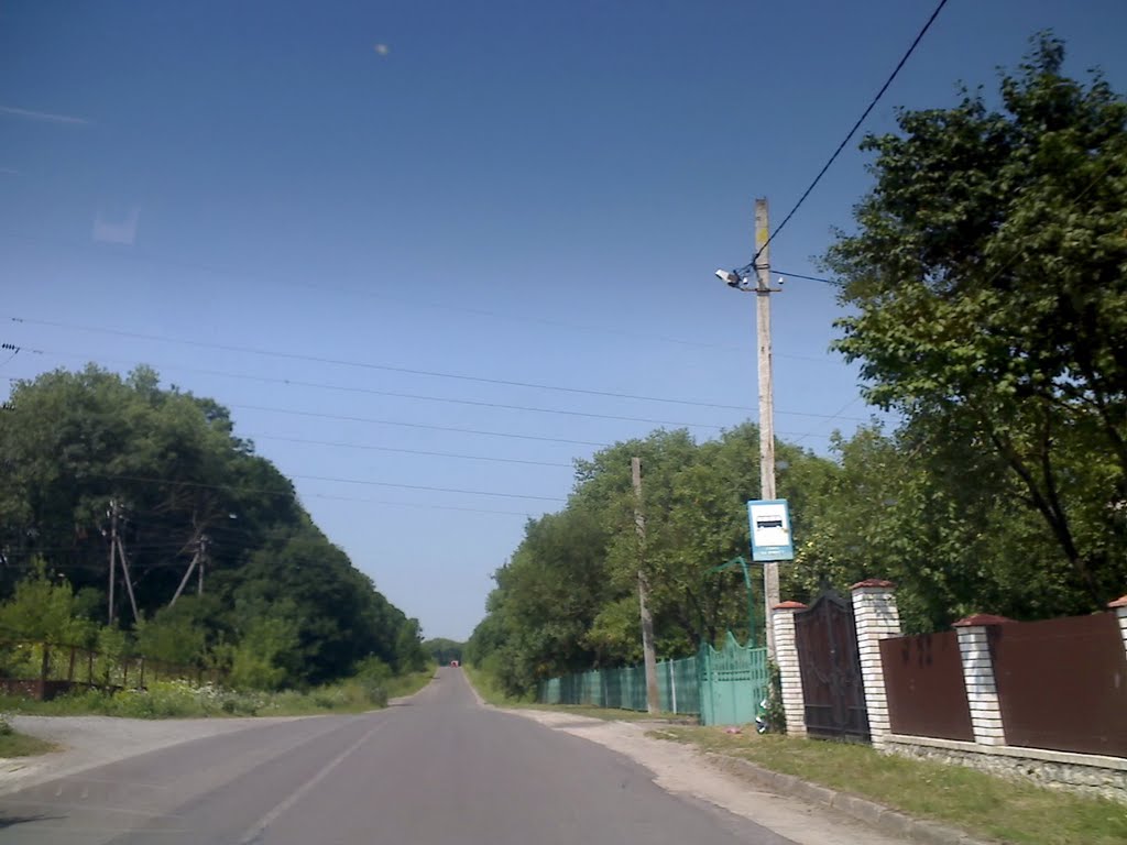 Зупинка на загреблі, Великі Бірки, 2011