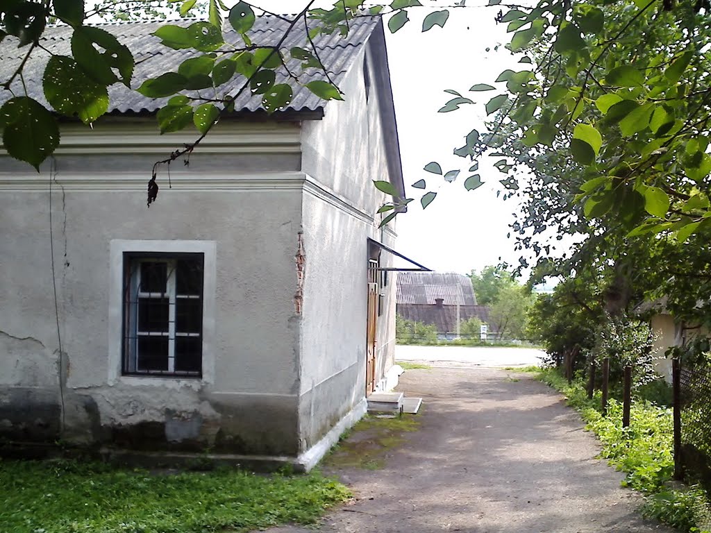Колишня поліклініка, з парку, Великі Бірки