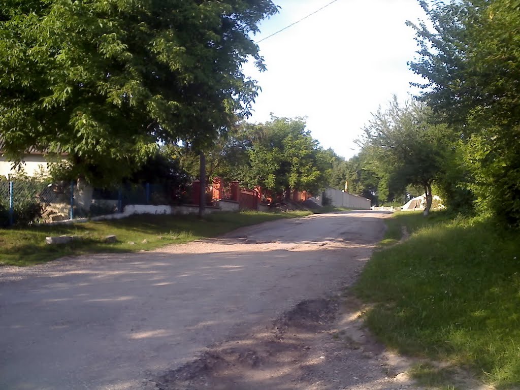 З вул.Грушевського поворот біля фабрики вгору