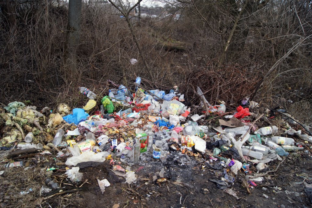 ecology