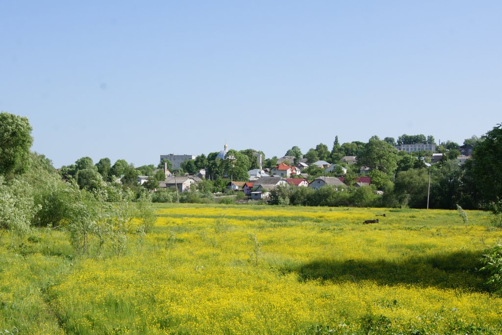 Великі Бірки