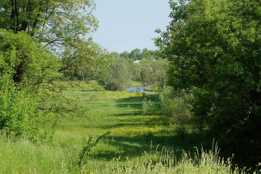 Великі Бірки