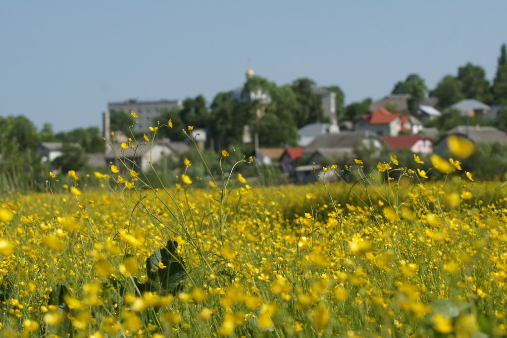 Великі Бірки