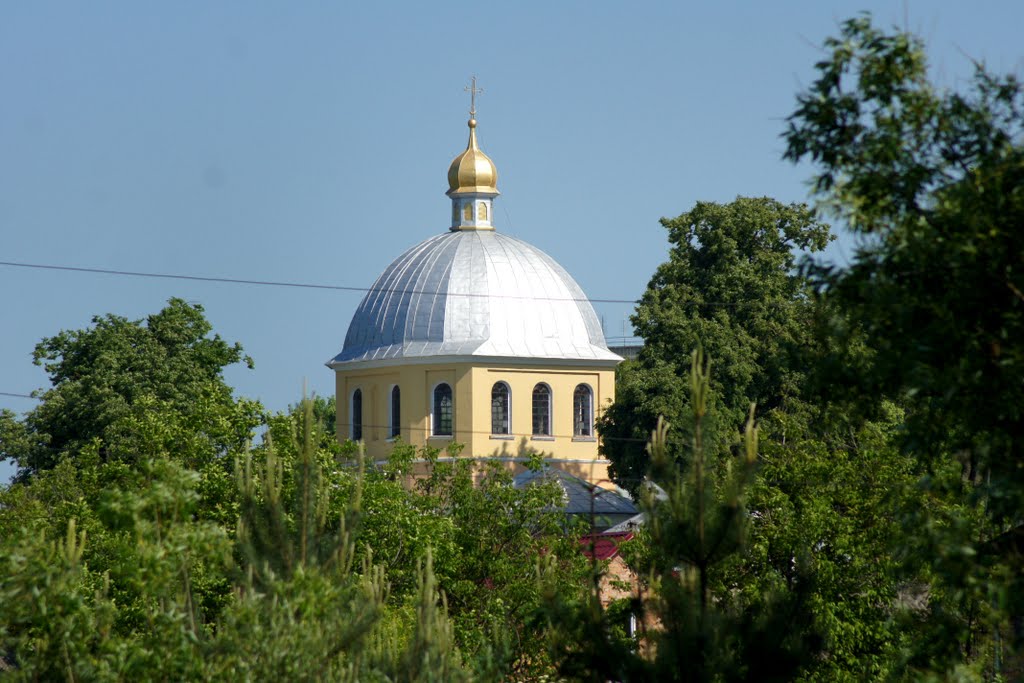 Великі Бірки