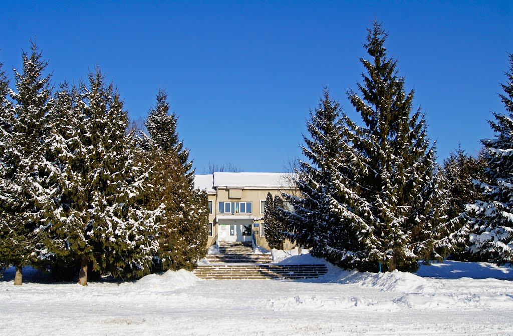 Селищна Рада