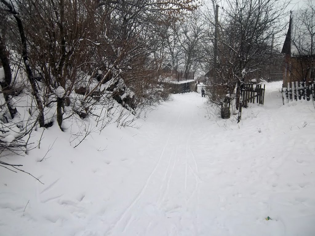 Зима
