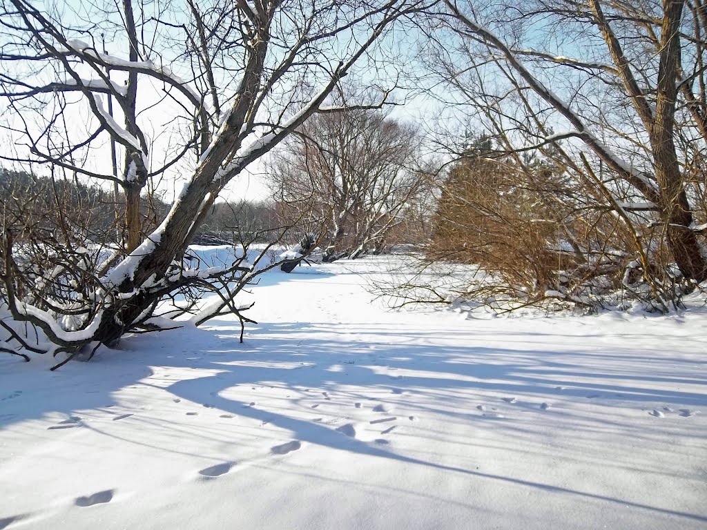 Річка замерзла