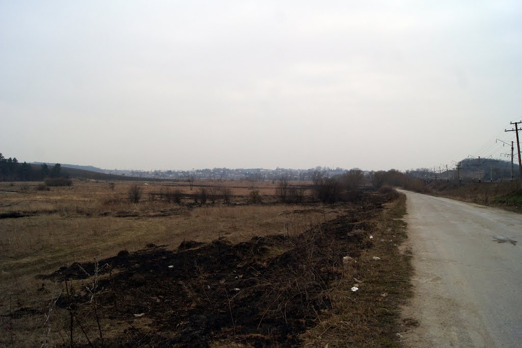 Вид на Дичків