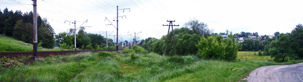 Великі Бірки