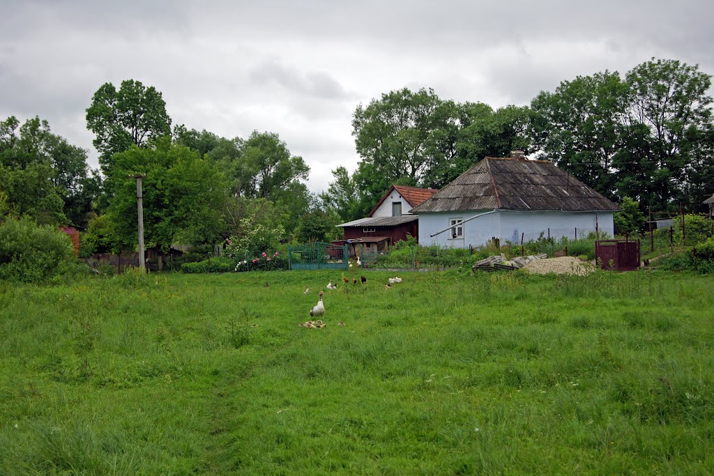 Загребля