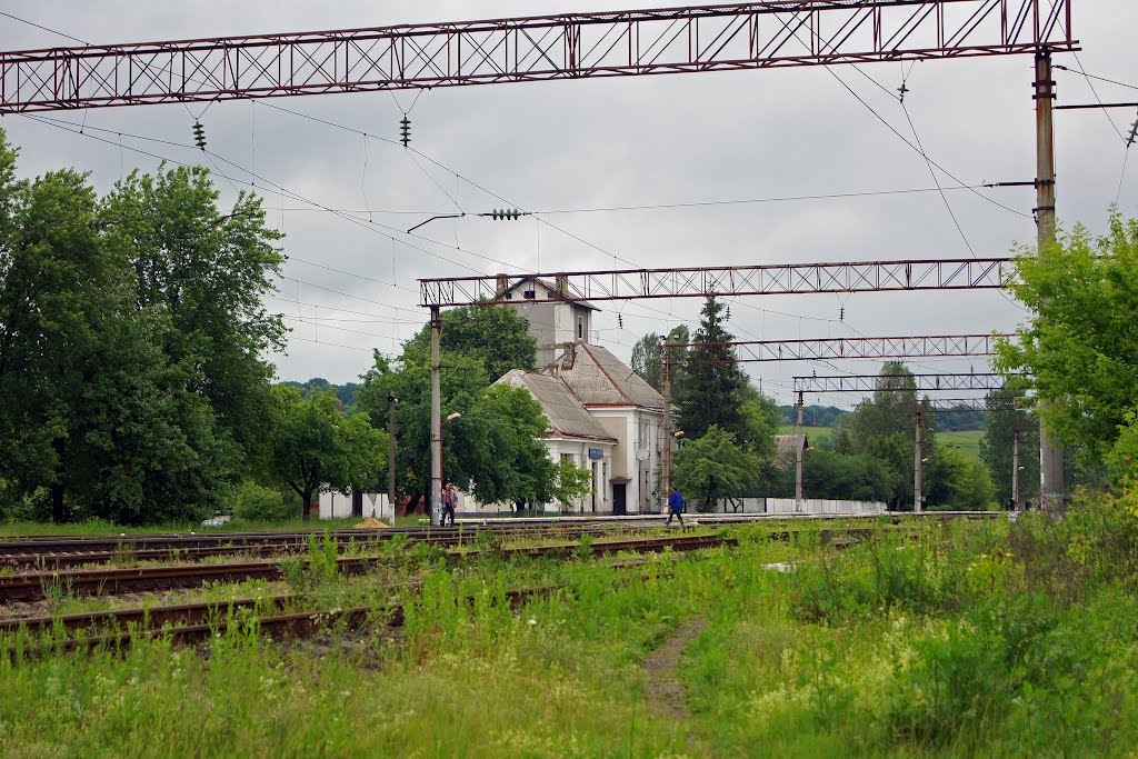 Залізнодорожна станція