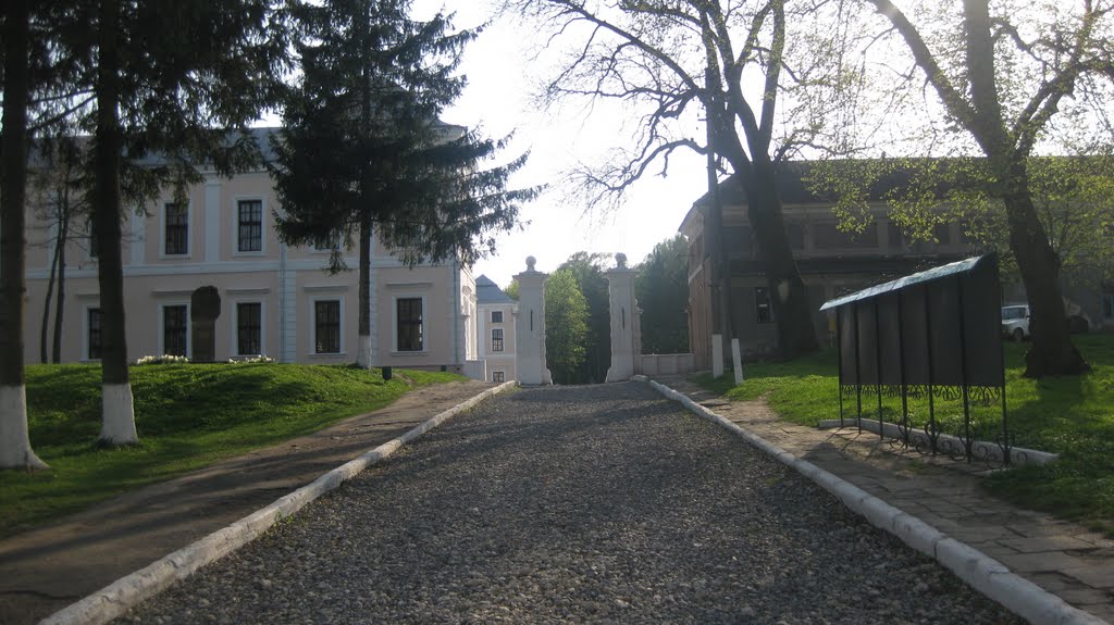 Вишнівецький замок, брама