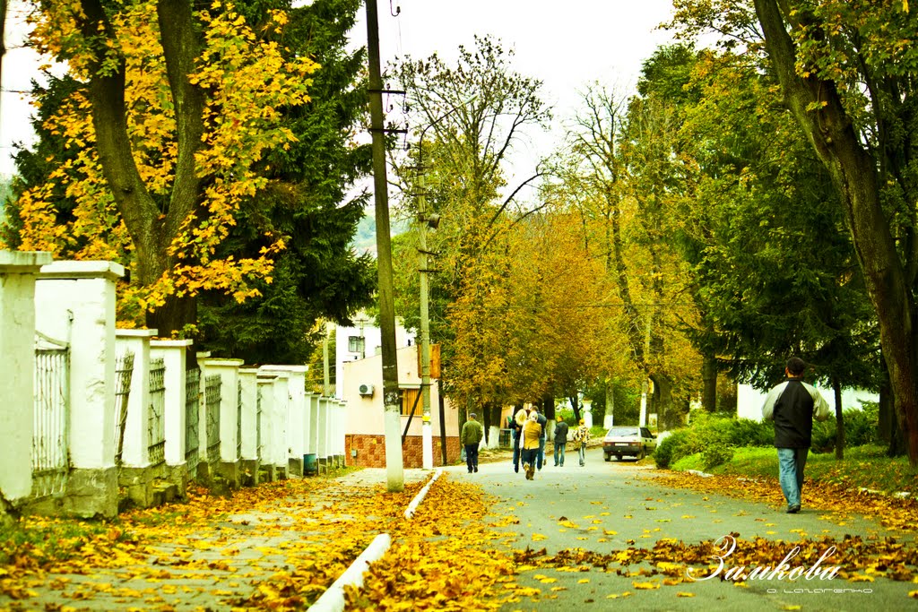 Замкова