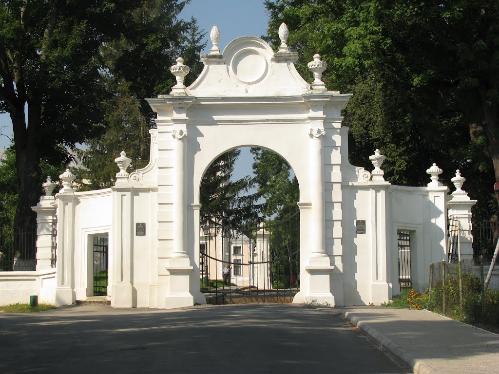 Вишнівець. Брама палацу