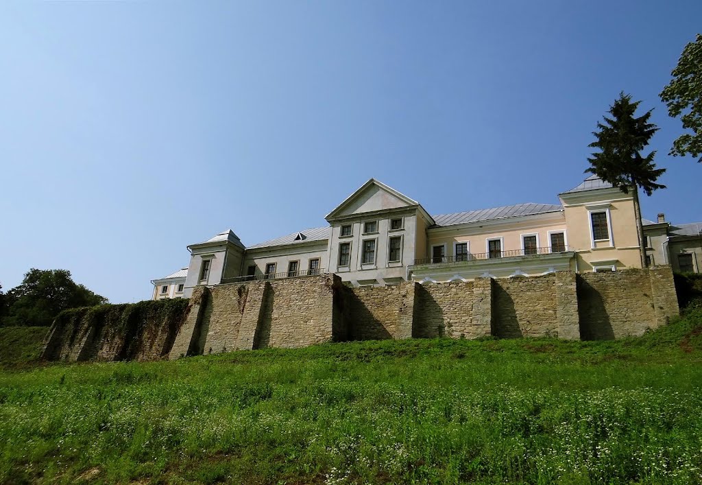 Вишнівецький палац, Vyshnivets Castle, дворец Вишневецких