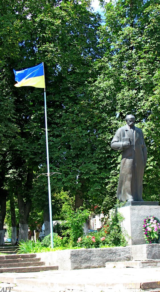 Сквер Т. Г. Шевченко,пгт Вишнивец.