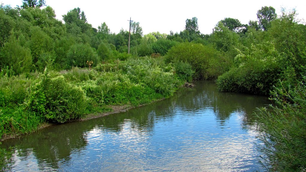 Река Горынь в с. Старый Вишнивец.