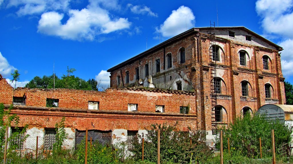 Старая мельница братьев Грязуновых 19в.