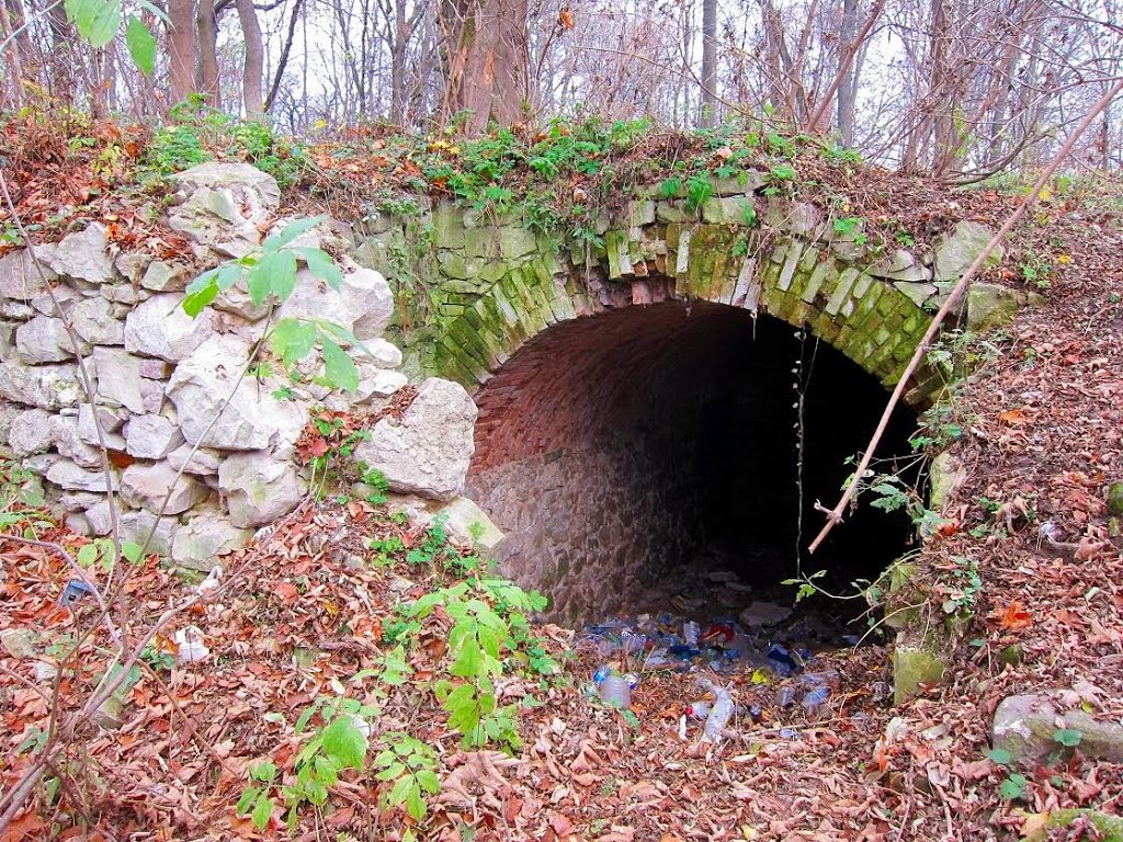 м. Гримайлів. Залишки замку. (пивниця).(XVIII ст.)/Grymailiv. The ruins of the castle.(XVIII). Basement.