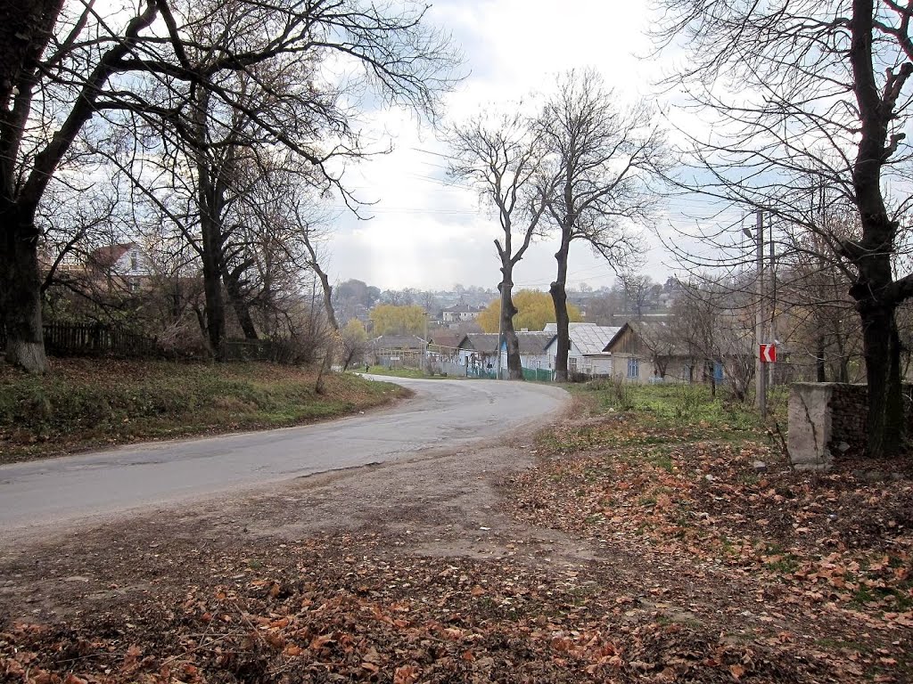 Гримайлів. Дорога на Хоростків./Grymailiv. Road to Khorostkiv.(2013).