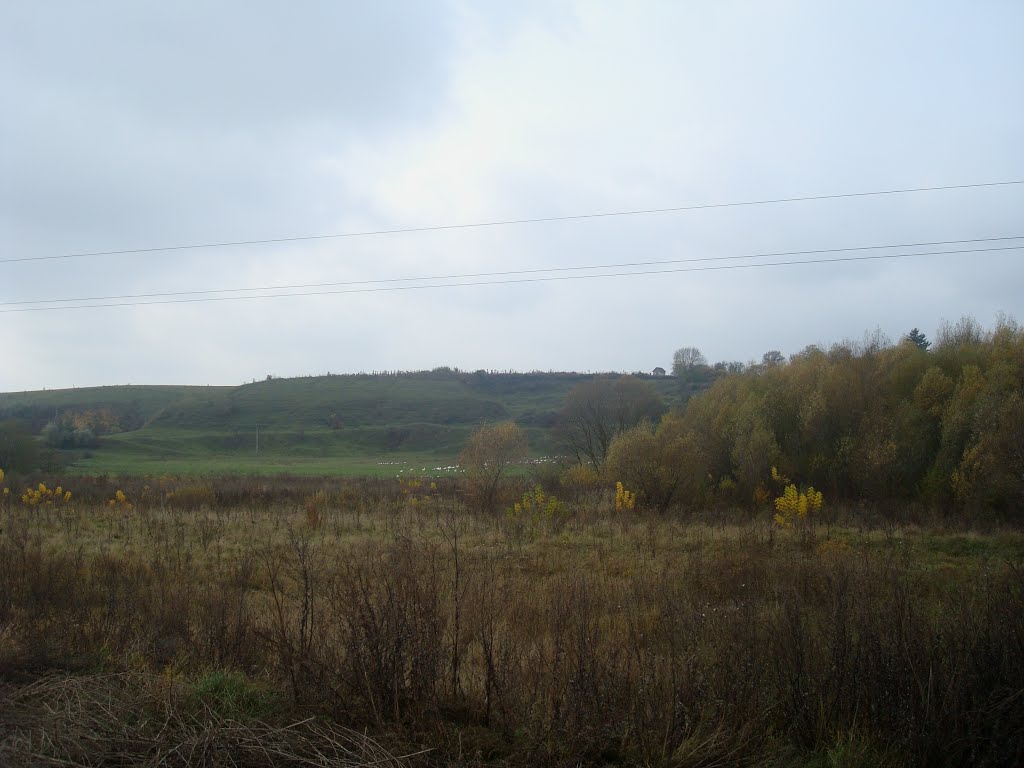 Осенний пейзаж