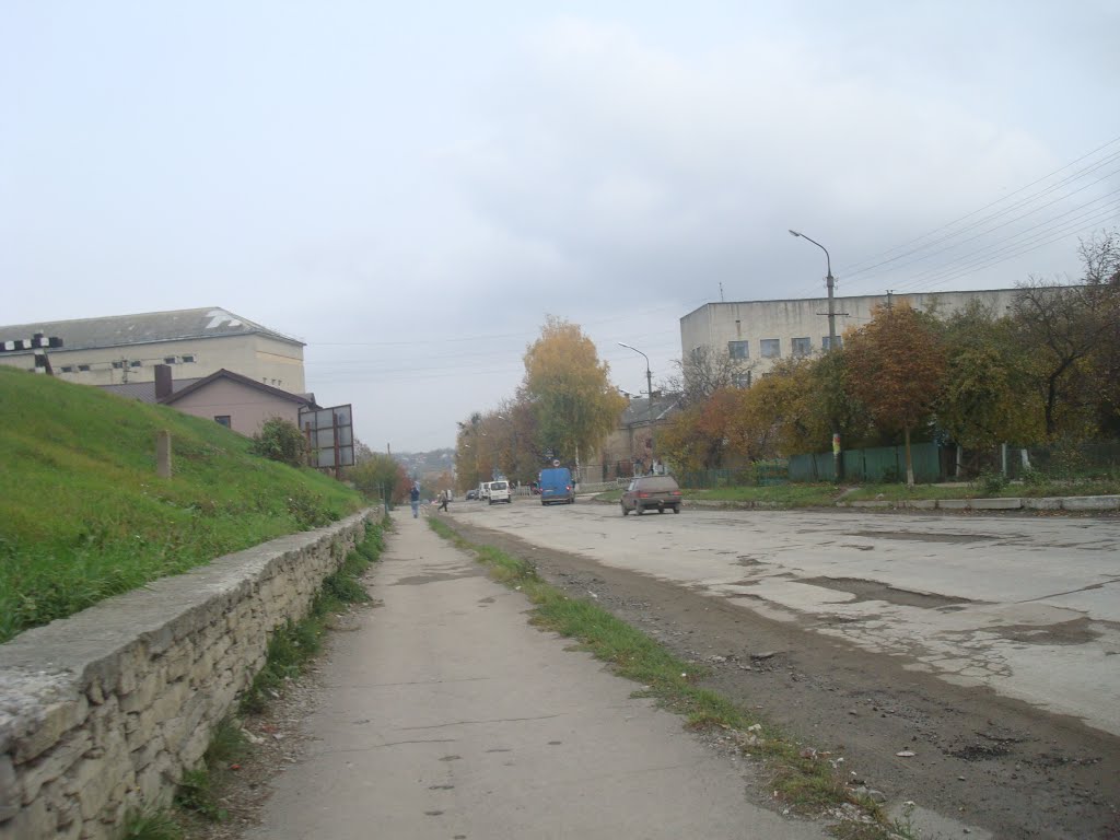Гусятин. Центральная улица