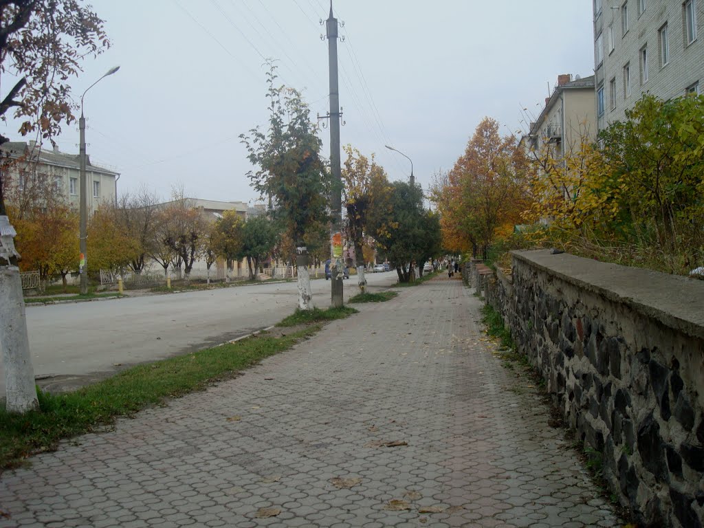 Гусятин. Центральная улица