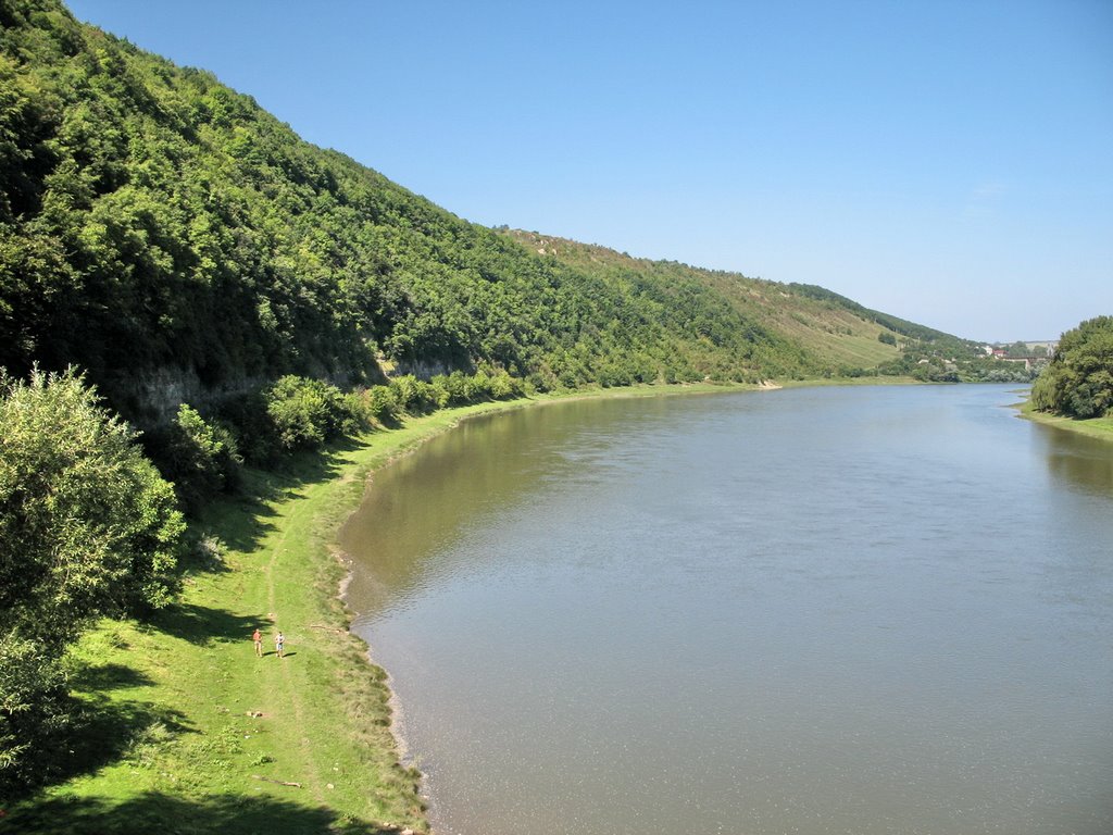 Берегом Дністра*