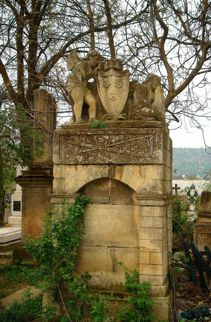 на старому заліщицькому цвинтарі, tomb
