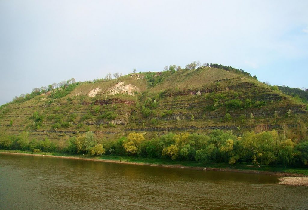 схили Дністровського каньйону біля Заліщиків, Dniester Canyon