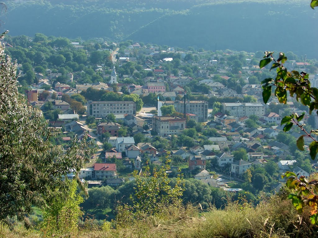 Центр Заліщиків.*