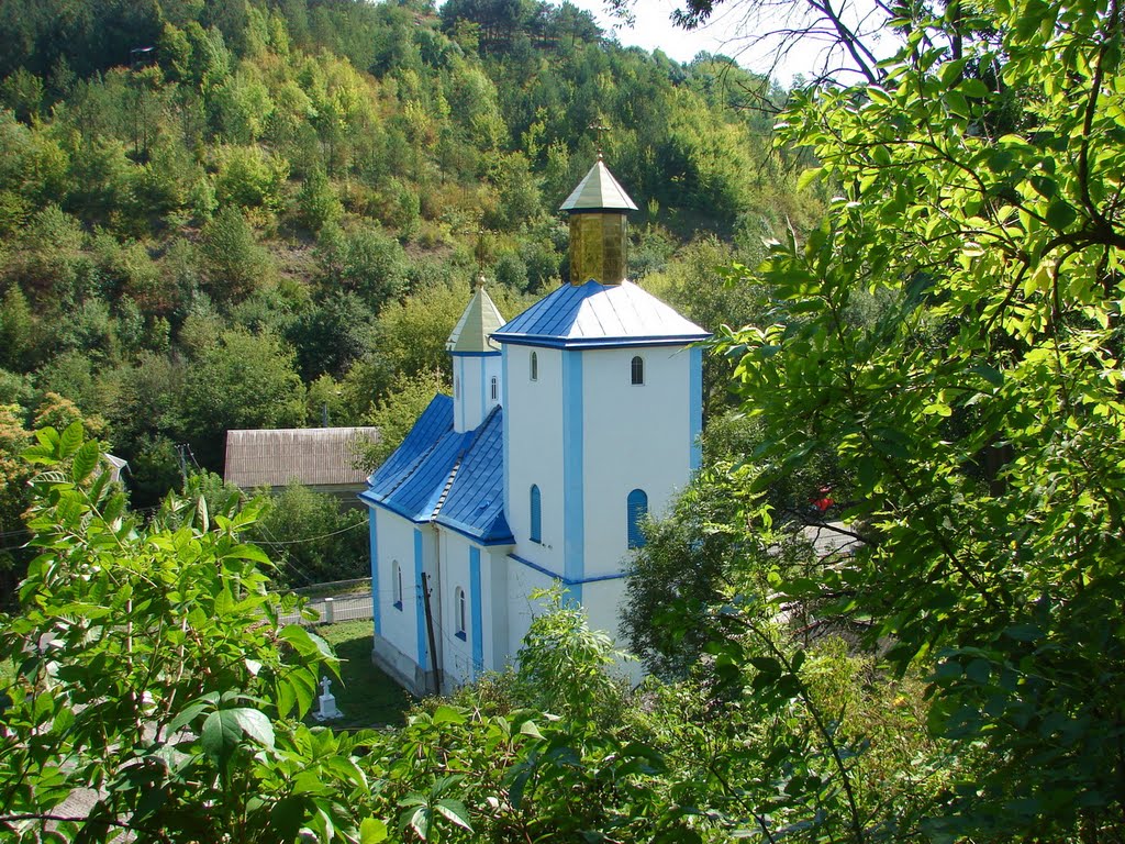 Село Дзвинячин.(внизу)